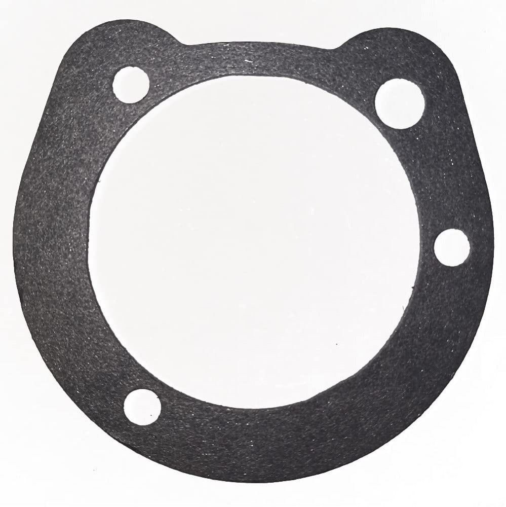 Gasket of the filter element to the plate at the base of the air box - OEM-29313-95