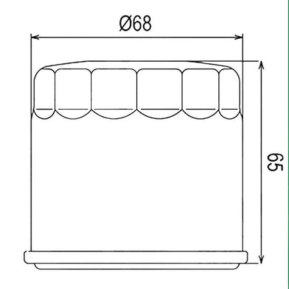 HIFLOFILTRO oil filter - HF138