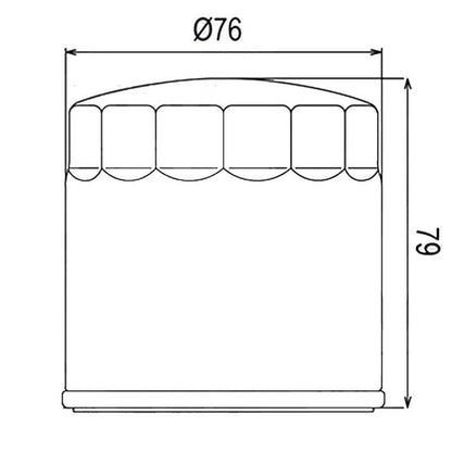 HF163 oil filter